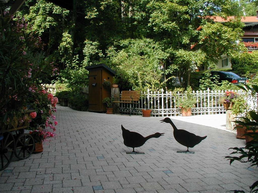 Apartamento Haus Wildbachtobel Bad Hindelang Exterior foto
